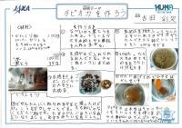 https://ku-ma.or.jp/spaceschool/report/2019/pipipiga-kai/index.php?q_num=20.40